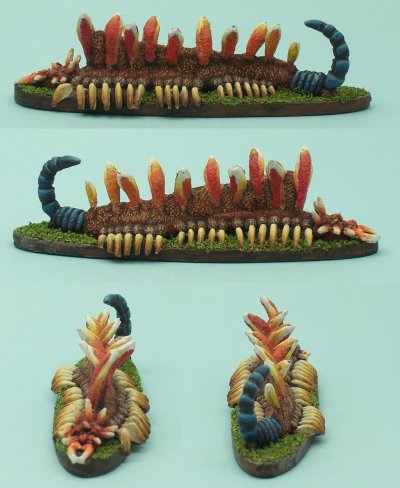 RAFM 3402 (maybe): Armored Centipede (maybe) RAFM 3402 (maybe): Armored Centipede (maybe)